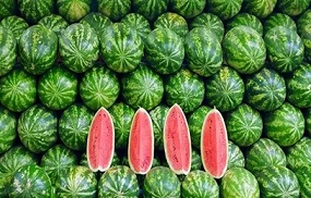 تصویر 1 از خرید و قیمت هندوانه بیضی صادراتی + فروش عمده